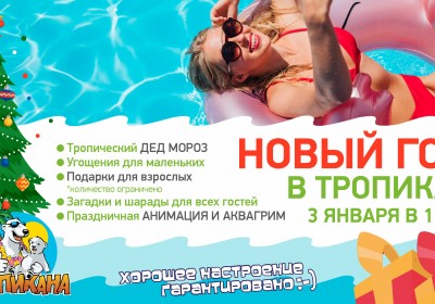 Новогодний праздник в Аквапарке «Тропикана»