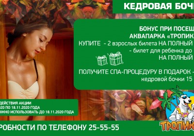 Акция «Кедровая бочка»